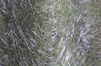 Cromer fibreglass roof work